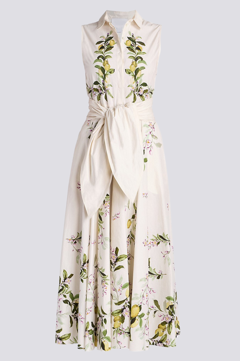 Timeless Vintage Style Dress