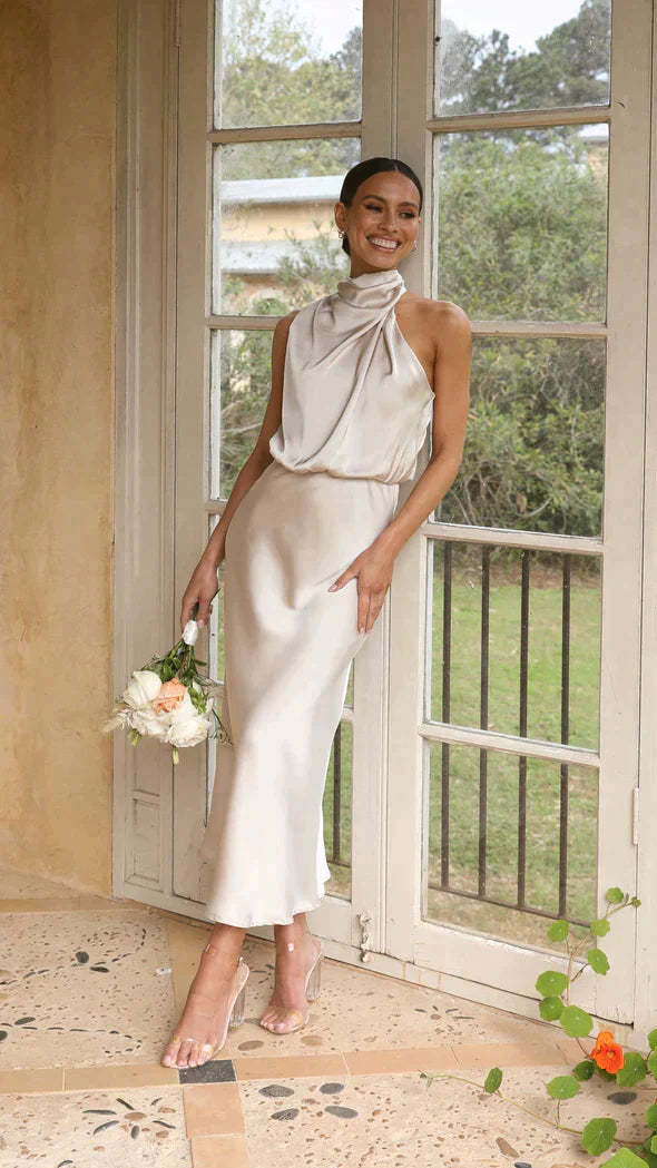 Classic Designed Dress