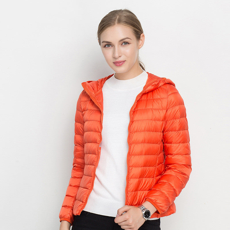 Classic Designed Garment