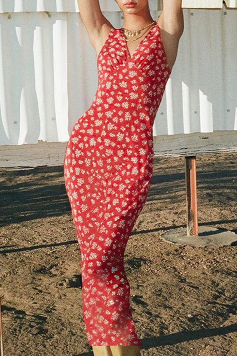 Elegantly Designed Dress
