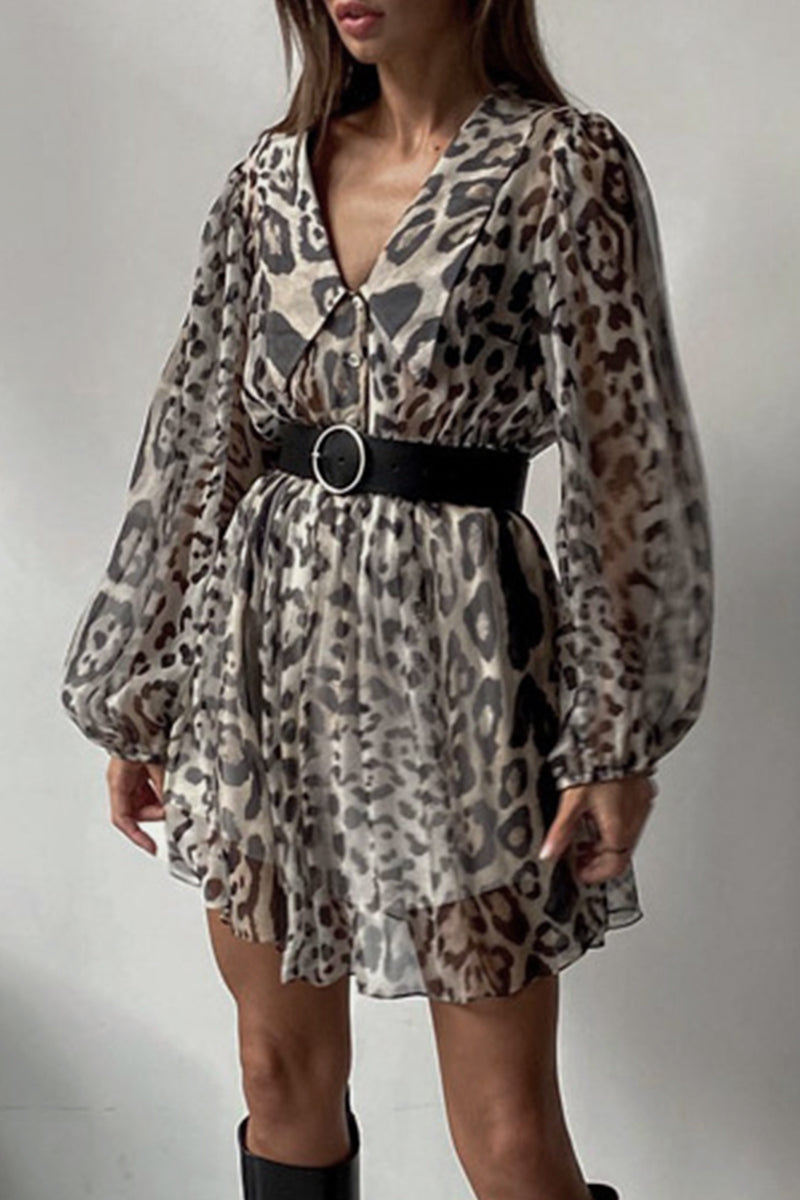 Classic Designed Dress