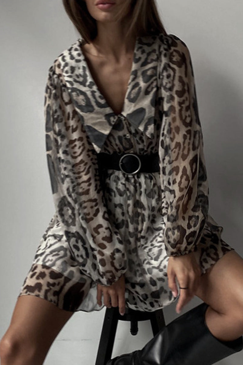 Classic Designed Dress