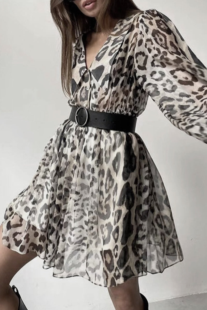 Classic Designed Dress