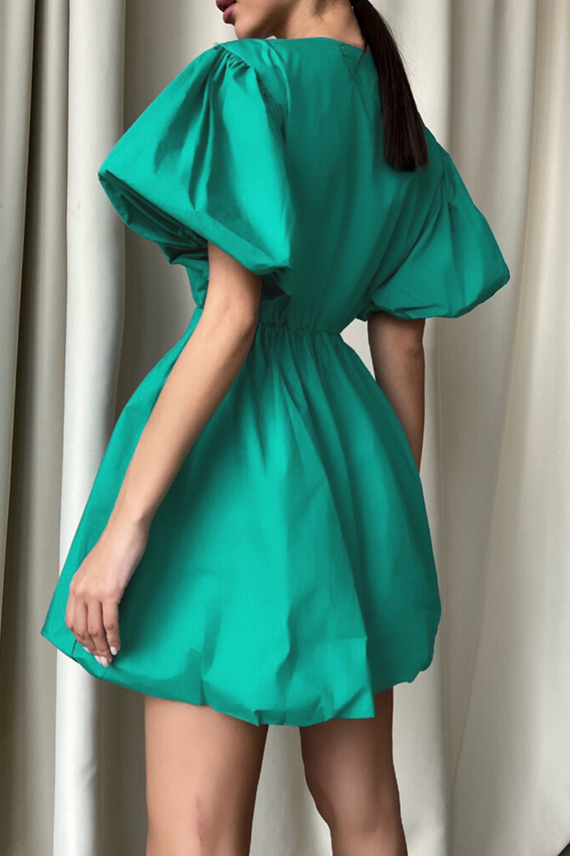 Elegantly Designed Dress