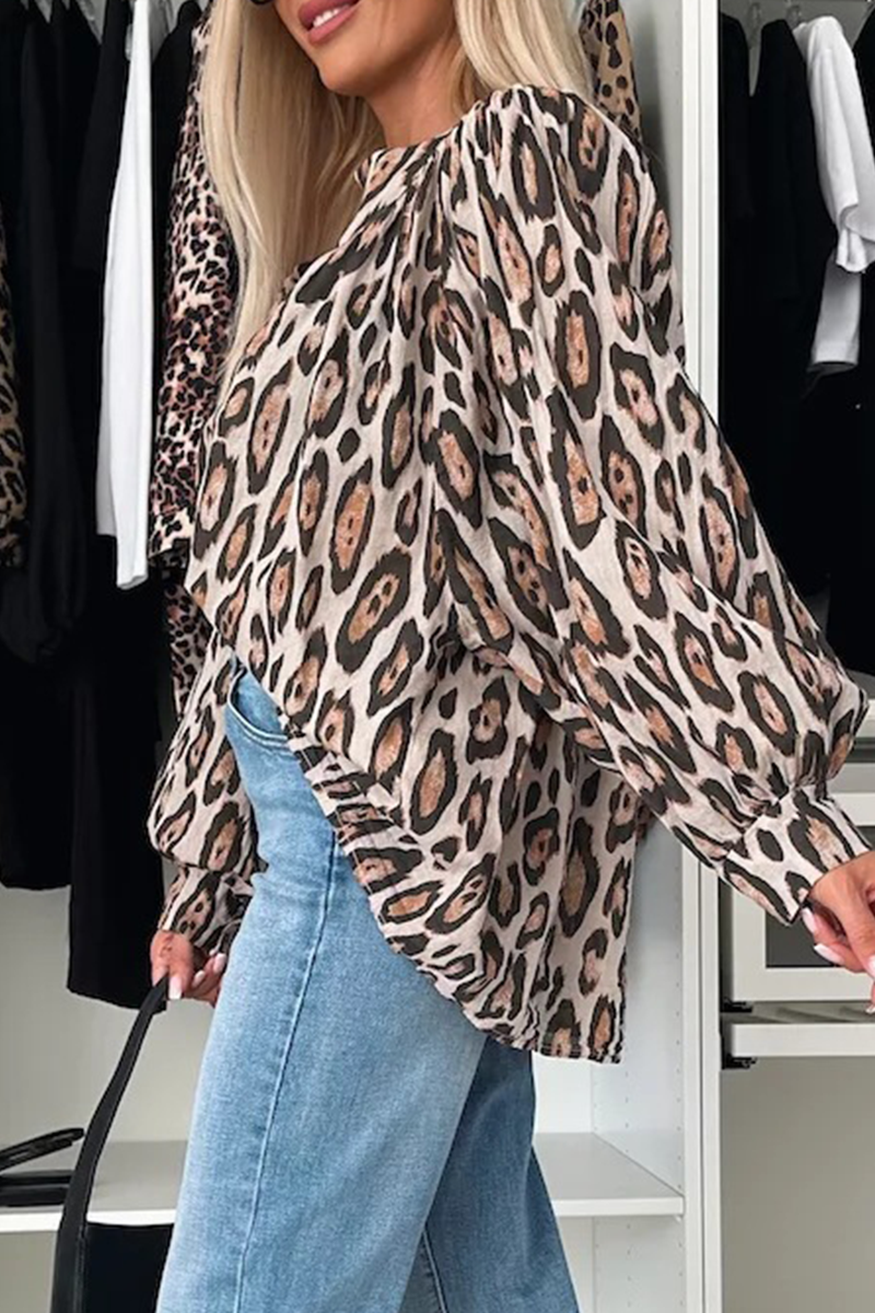 Gracefully Designed Blouse