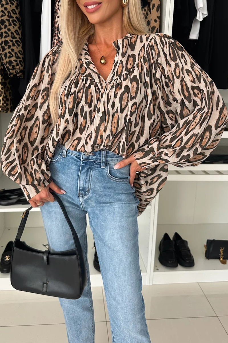 Gracefully Designed Blouse