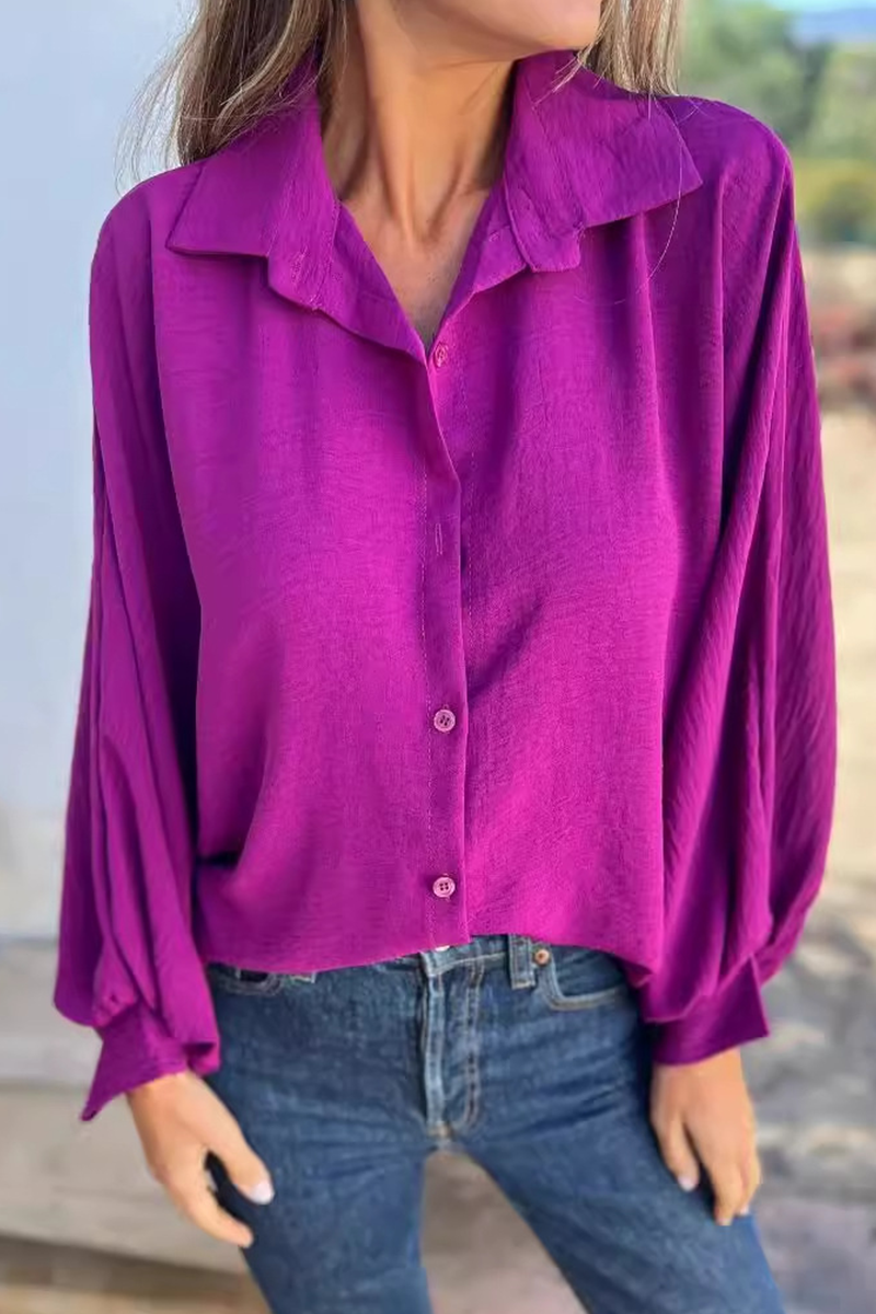 Classic Designed Blouse