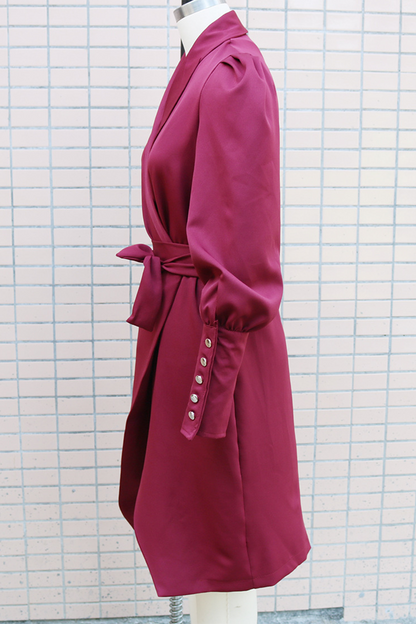 Classic Designed Dress