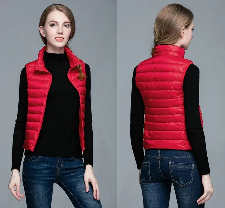 Elegantly Designed Jacket