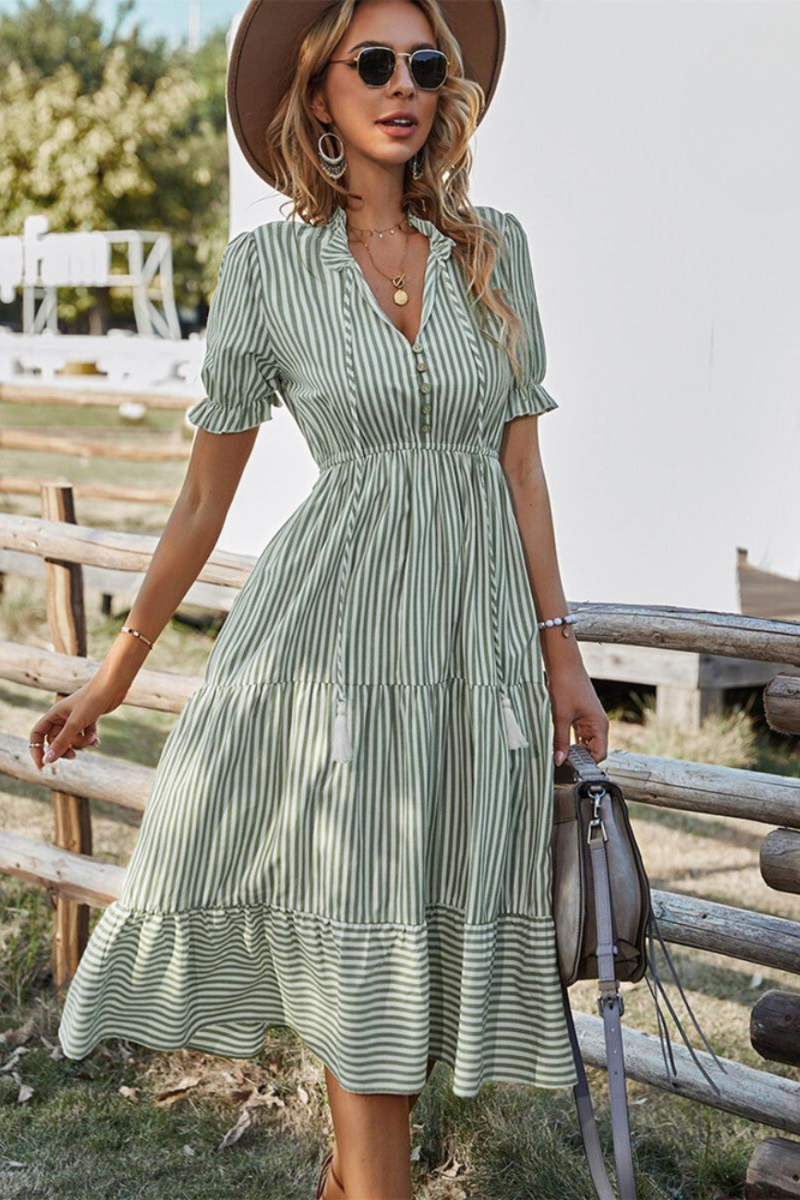 Elegantly Designed Dress