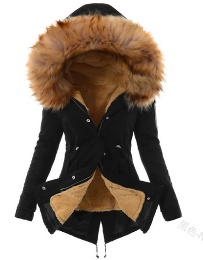 Gracefully Designed Jacket