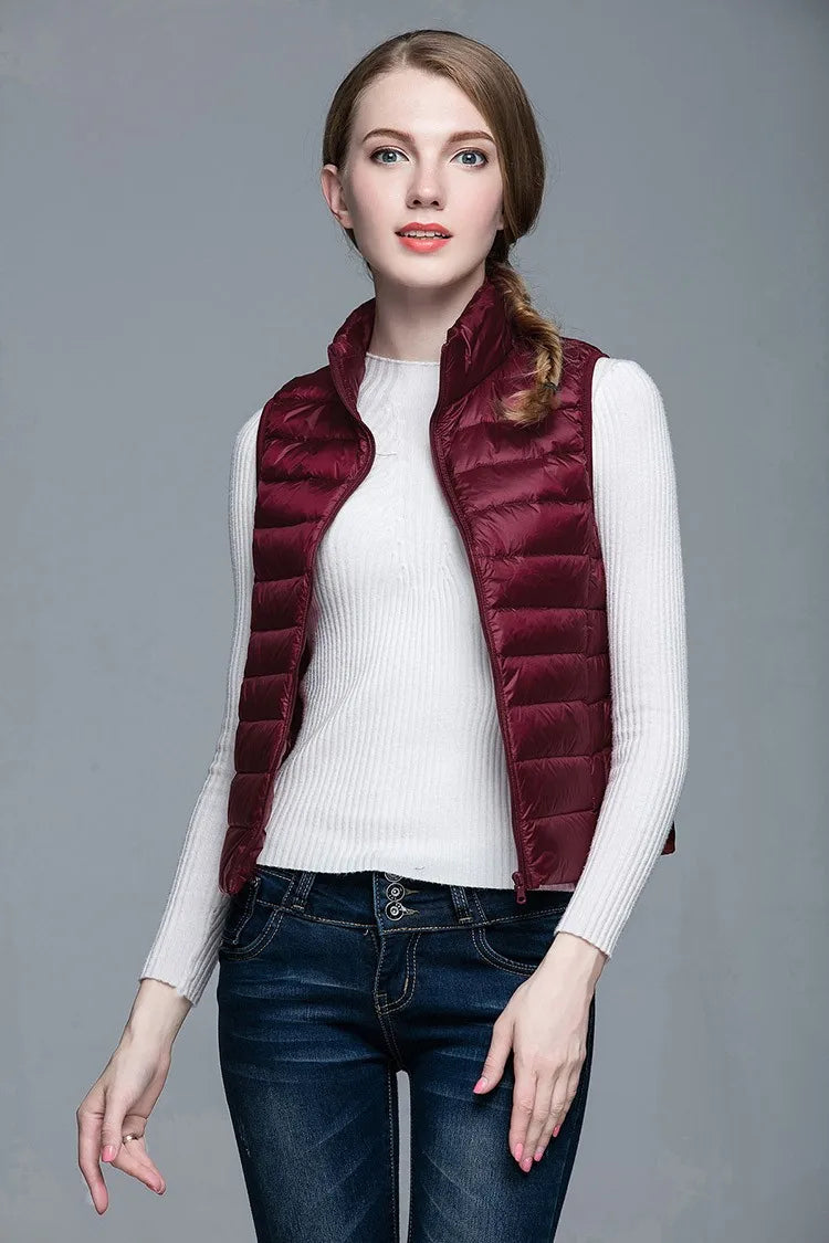 Elegantly Designed Jacket