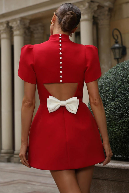 Timeless Vintage Style Dress