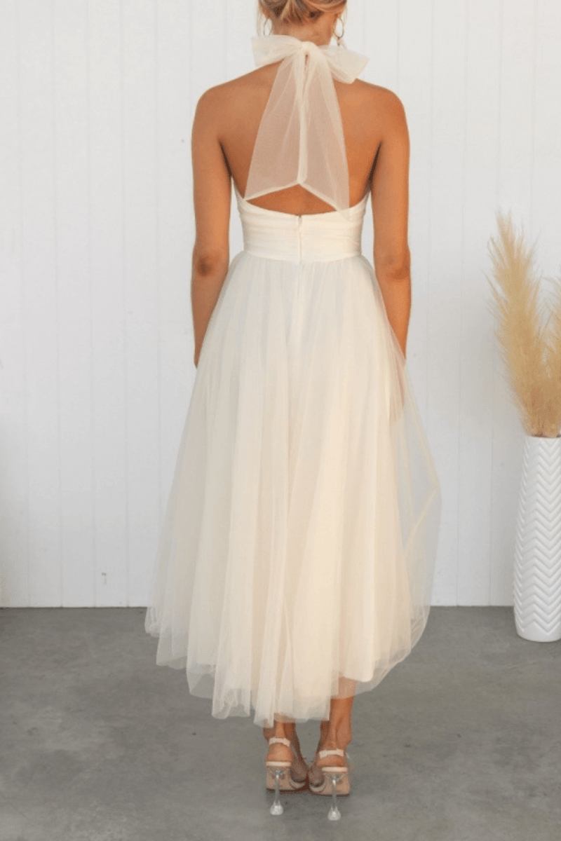 Thoughtfully Designed Dress
