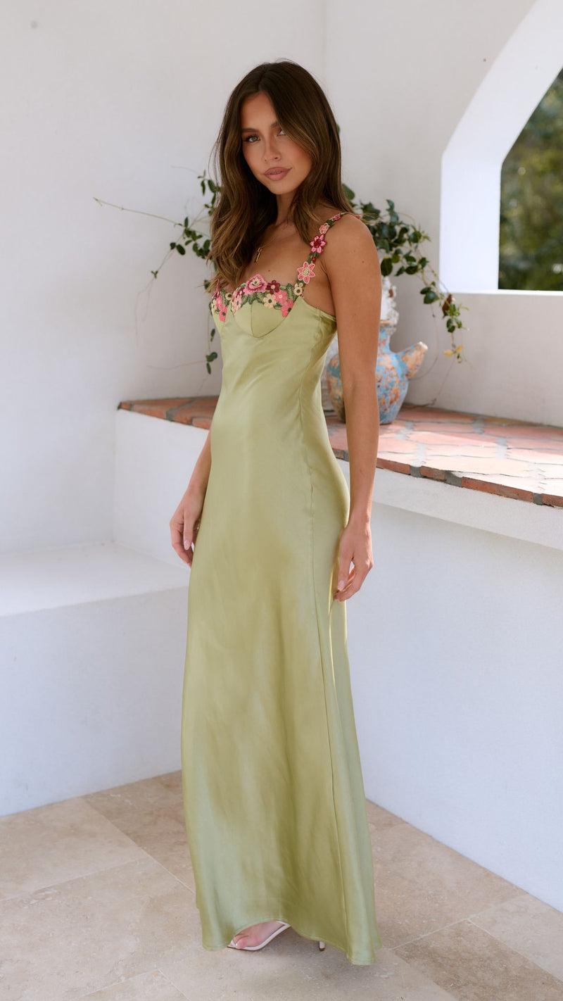 Classic Designed Dress