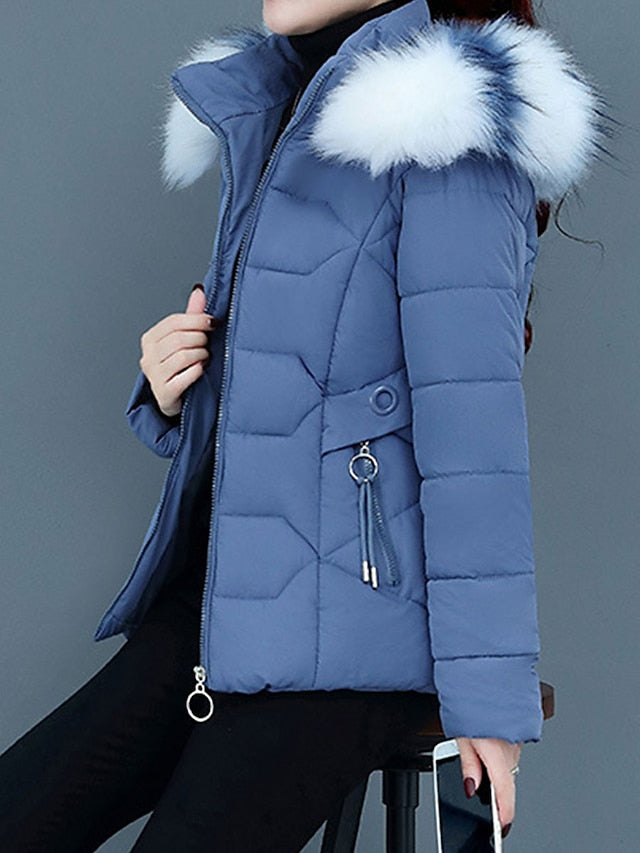 Elegantly Designed Coat