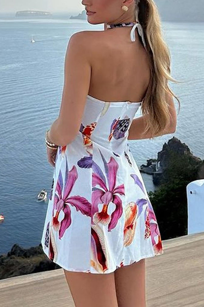 Classic Designed Dress