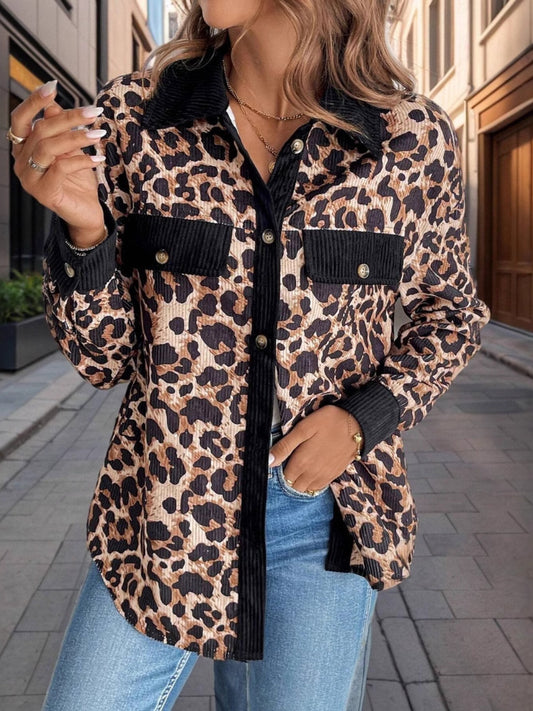 leopard