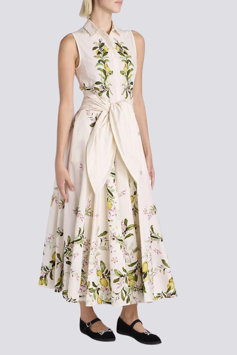 Timeless Vintage Style Dress
