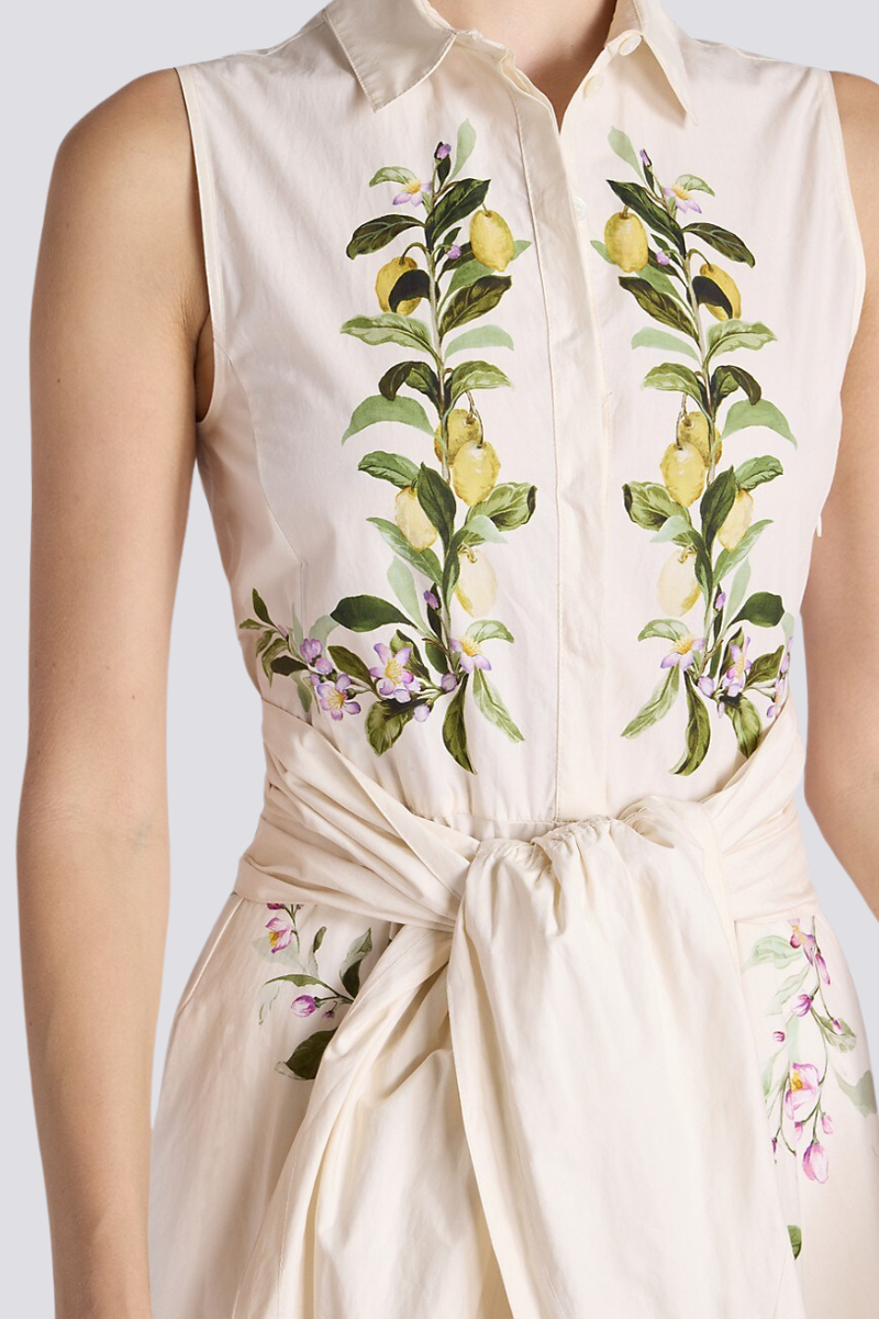 Gracefully Designed Dress