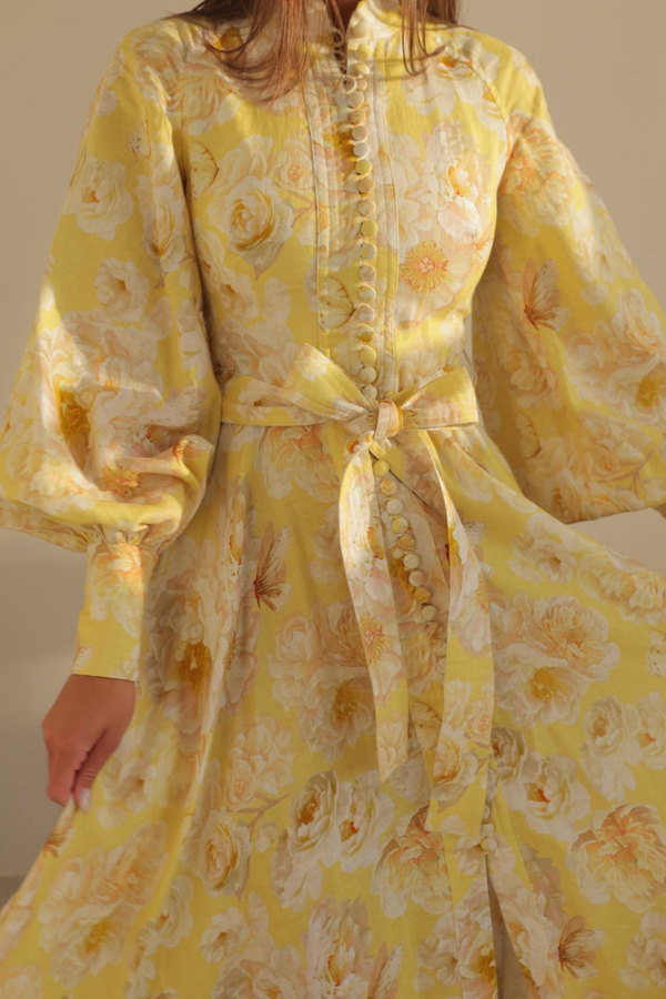 Gracefully Designed Dress