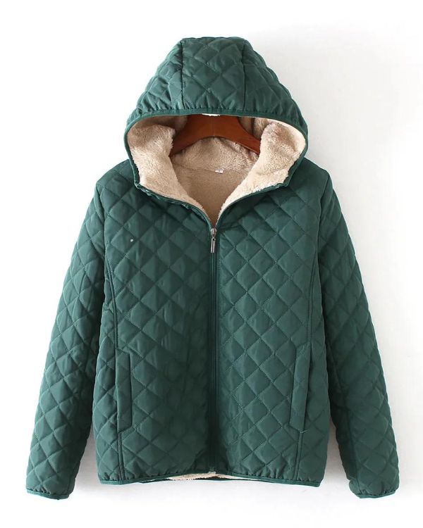 Elegantly Designed Jacket