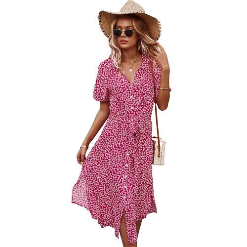 Elegantly Designed Dress