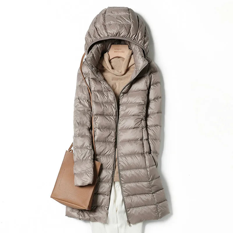 Classic Designed Garment