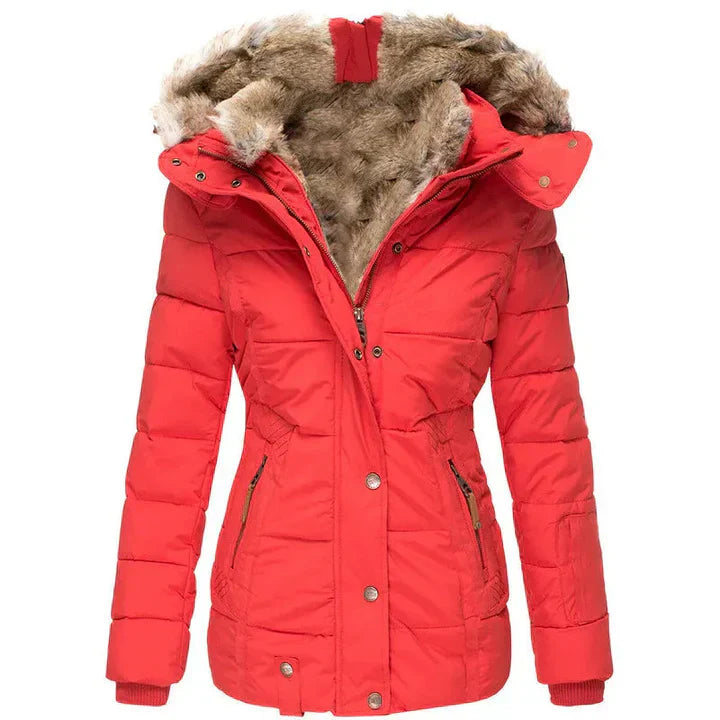 Beautifully Crafted Jacket