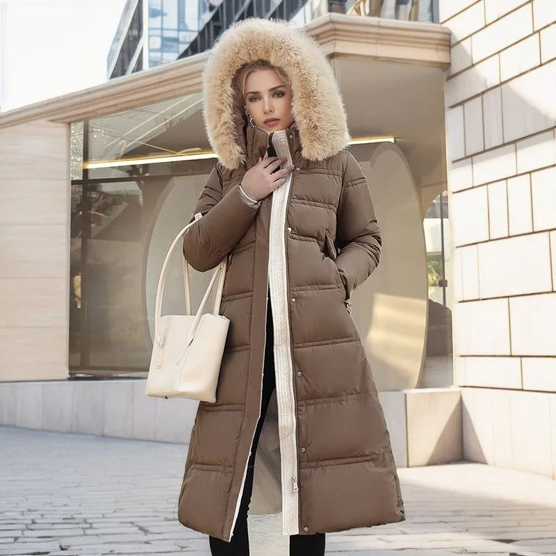 Gracefully Designed Jacket