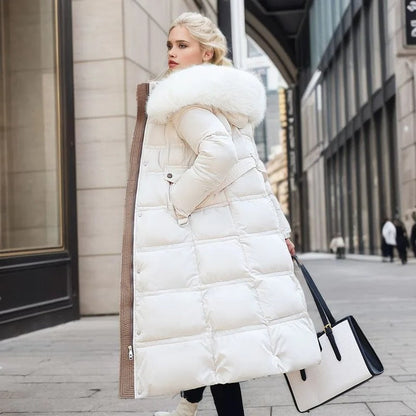 Gracefully Designed Jacket