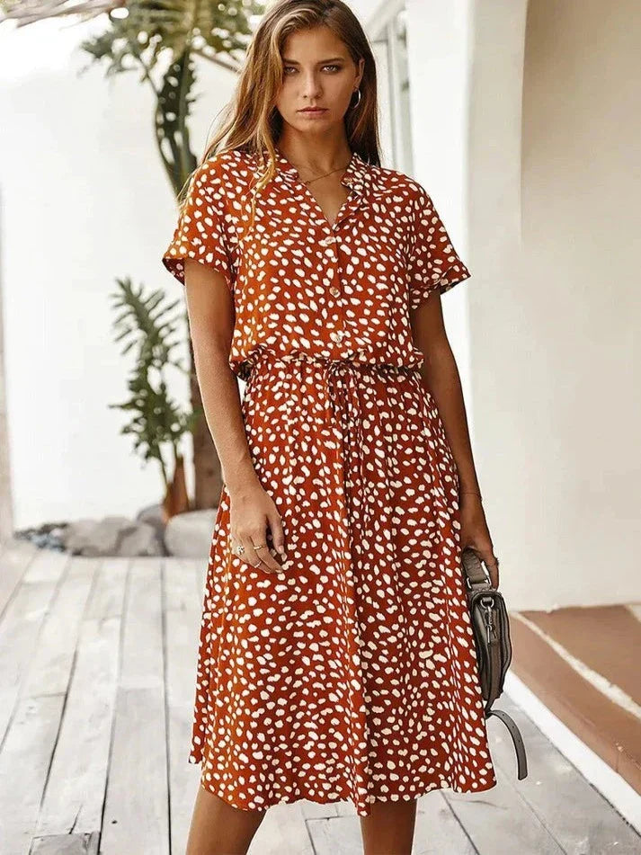 Elegantly Designed Dress