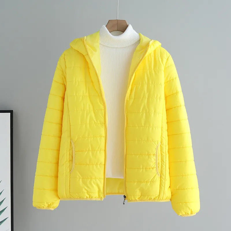 Thoughtfully Designed Garment