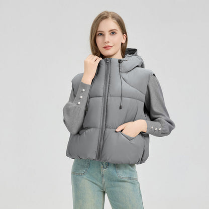 Classic Designed Garment