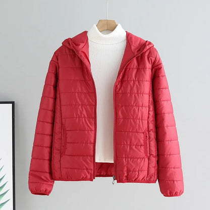 Thoughtfully Designed Garment
