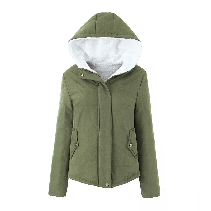 Classic Designed Garment