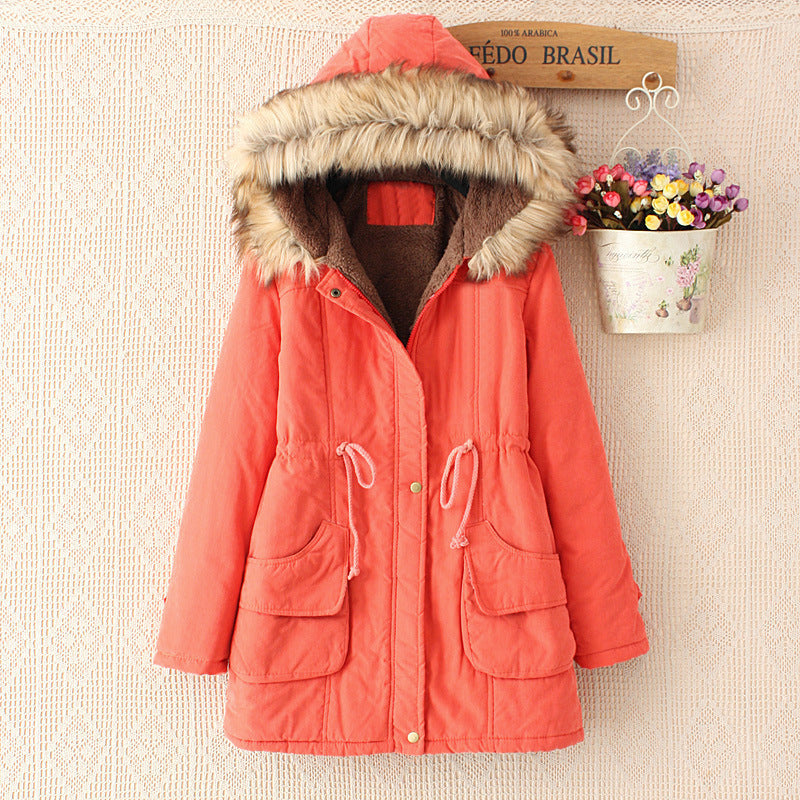 Elegantly Designed Garment