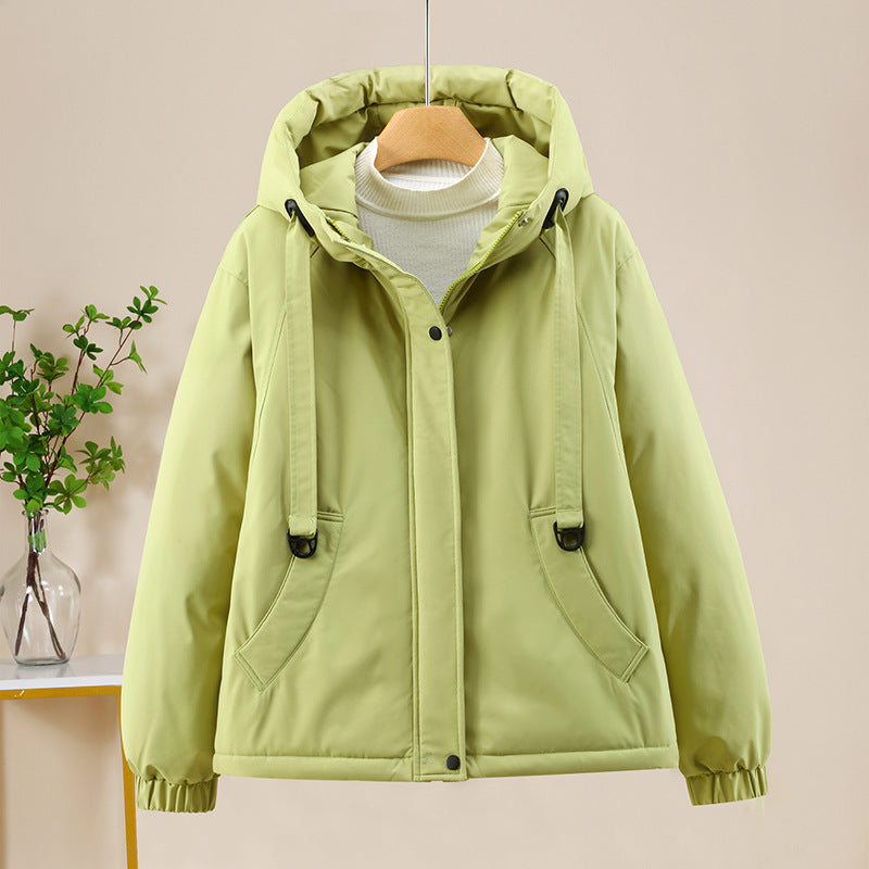 Classic Designed Garment