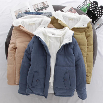 Classic Designed Garment