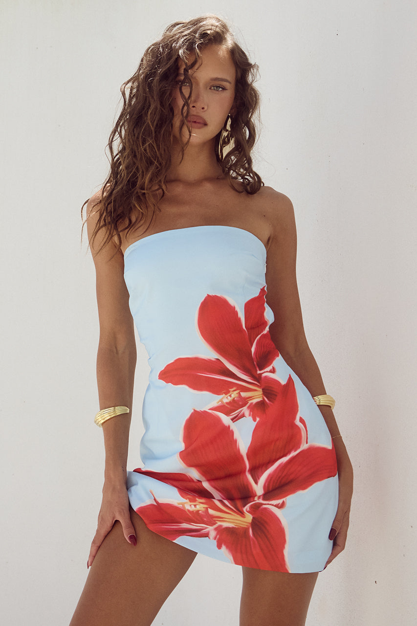 Thoughtfully Designed Dress