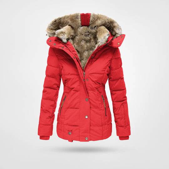 Gracefully Designed Coat