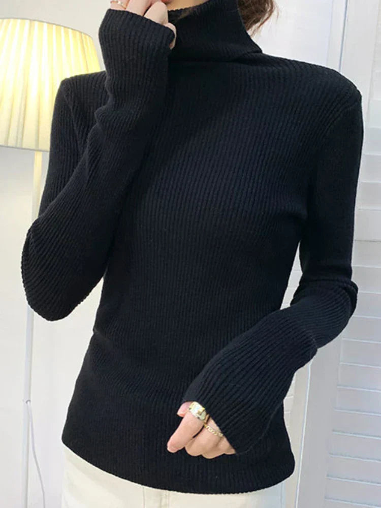 Elegantly Designed Sweater