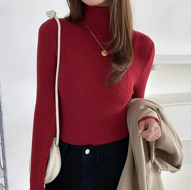 Classic Designed Sweater