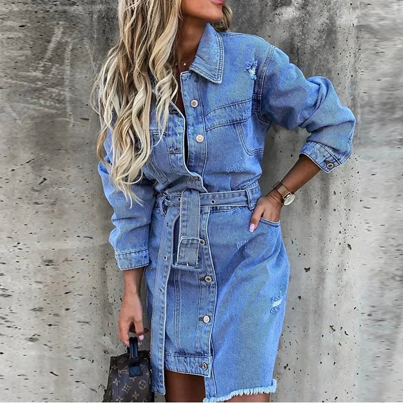 Timeless Vintage Style Dress