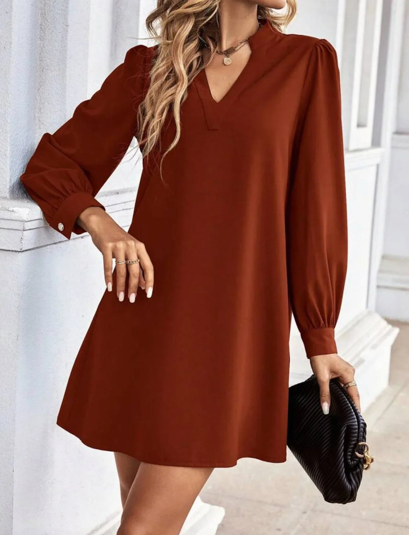 Thoughtfully Designed Dress