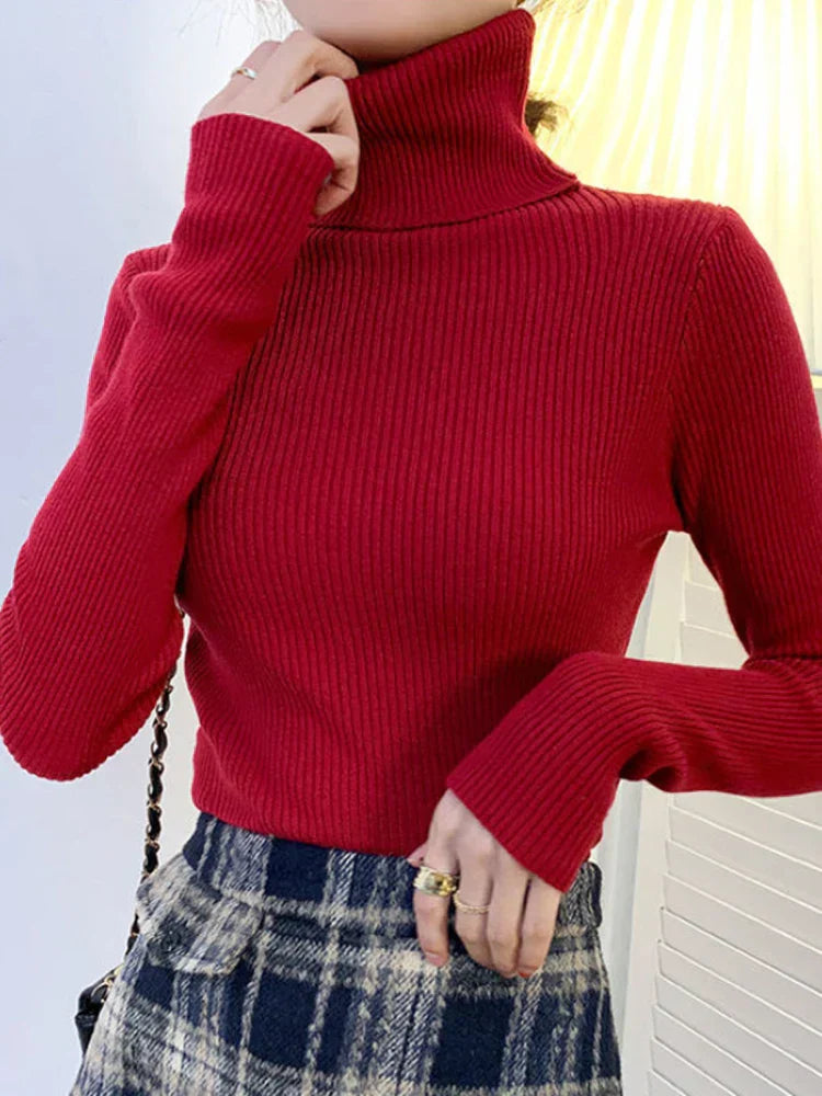 Elegantly Designed Sweater
