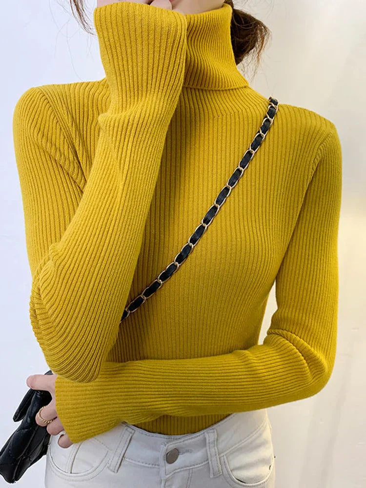Elegantly Designed Sweater