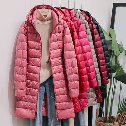 Beautifully Crafted Jacket