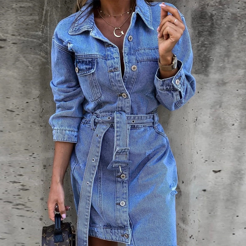 Classic Vintage Dress