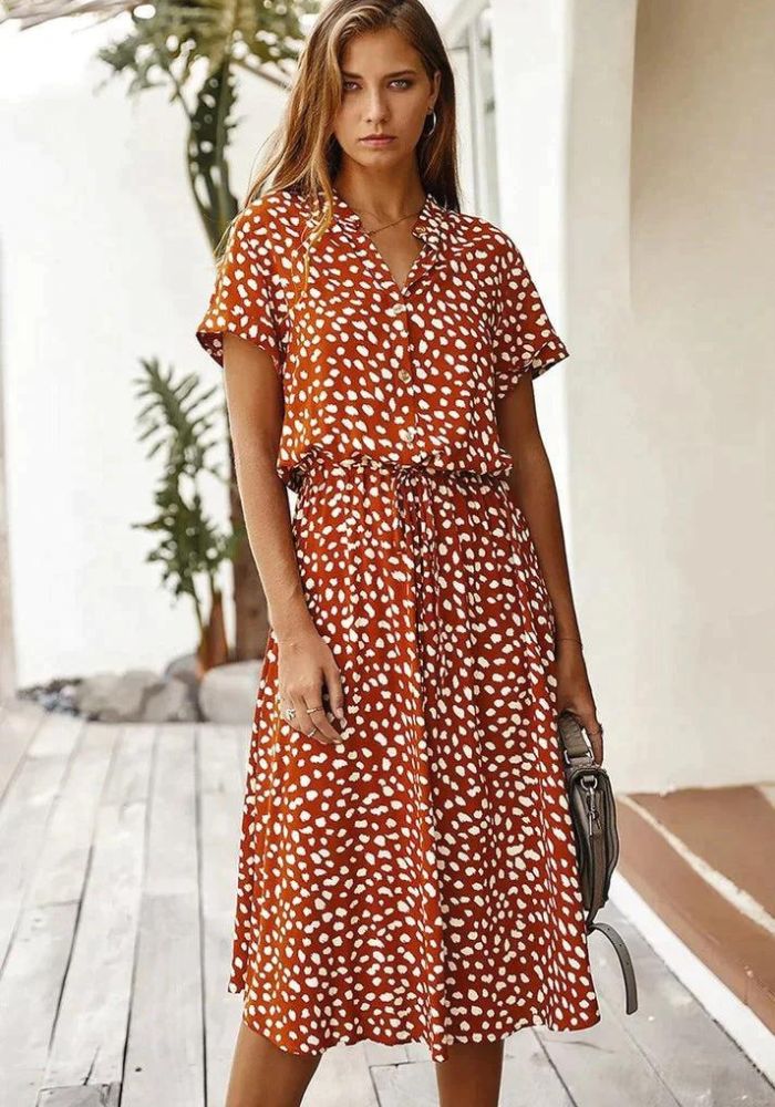 Timeless Vintage Style Dress